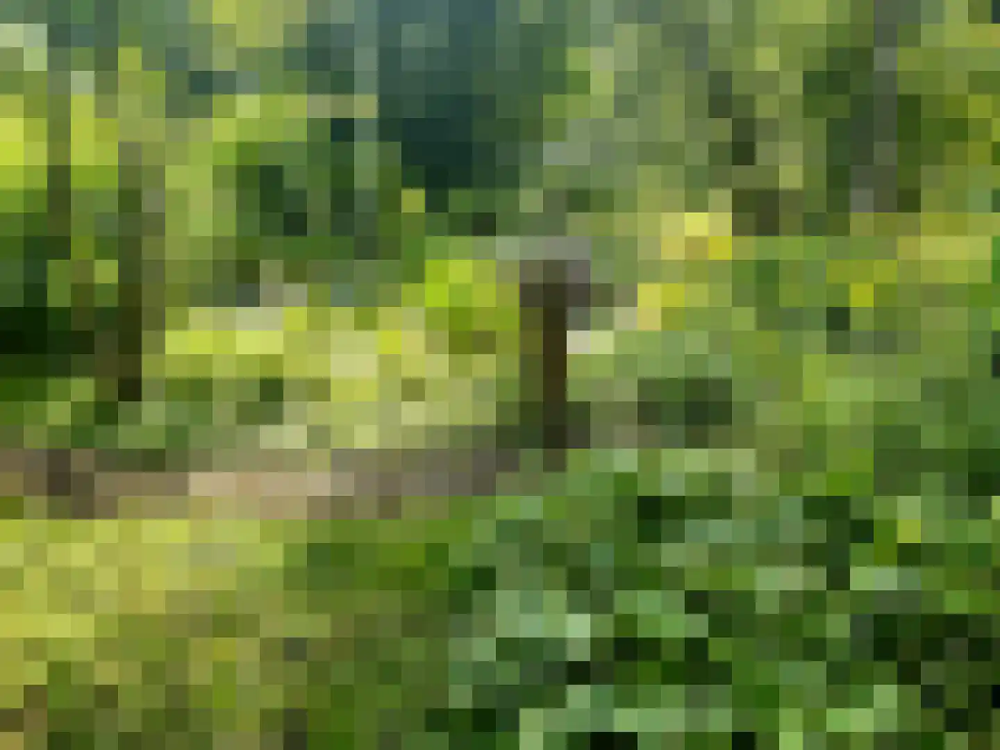 Schuinpad 40 Oldeberkoop thumbnail 37