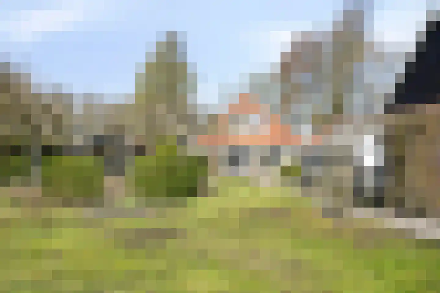 Schuinpad 40 Oldeberkoop thumbnail 41