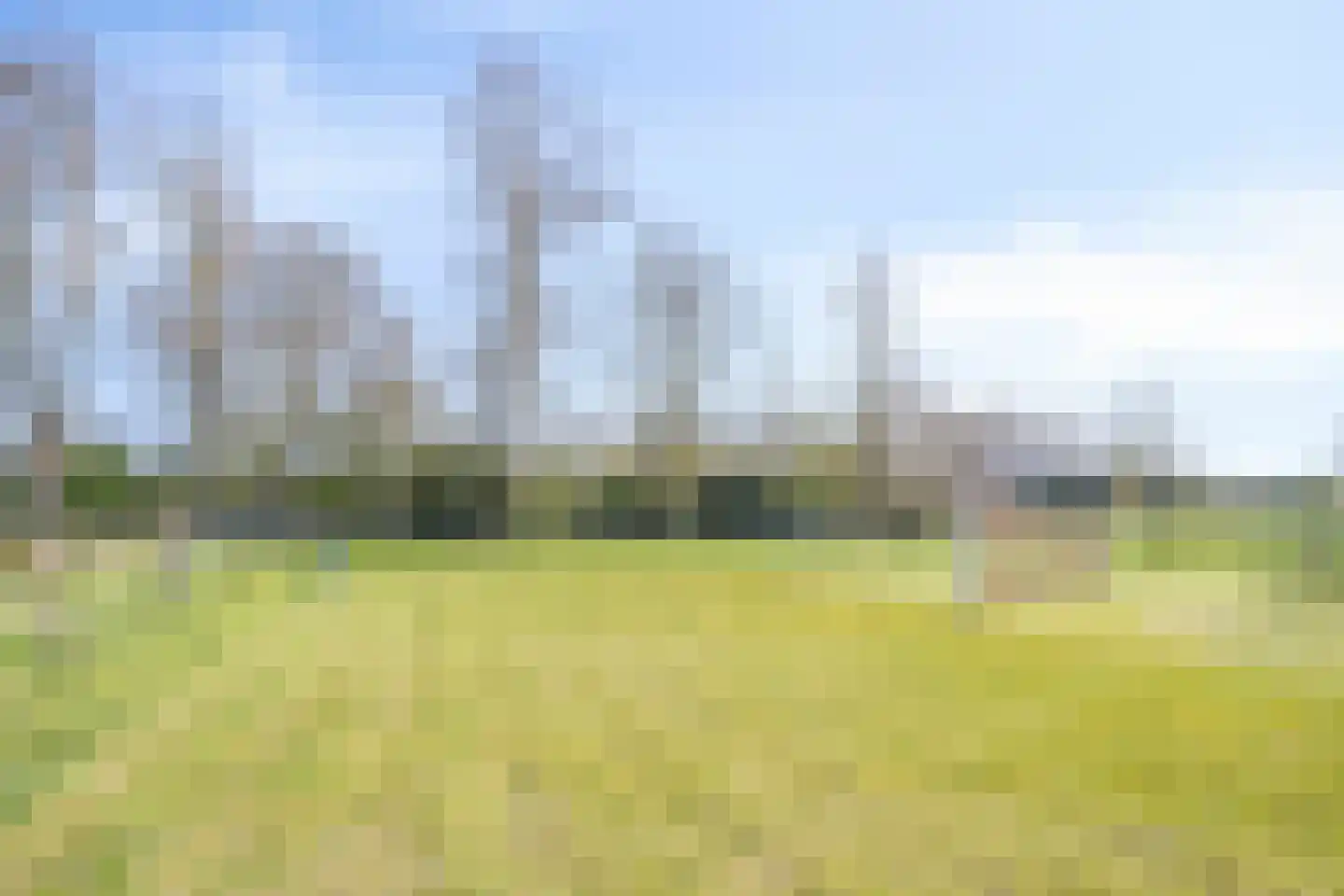 Schuinpad 40 Oldeberkoop thumbnail 50