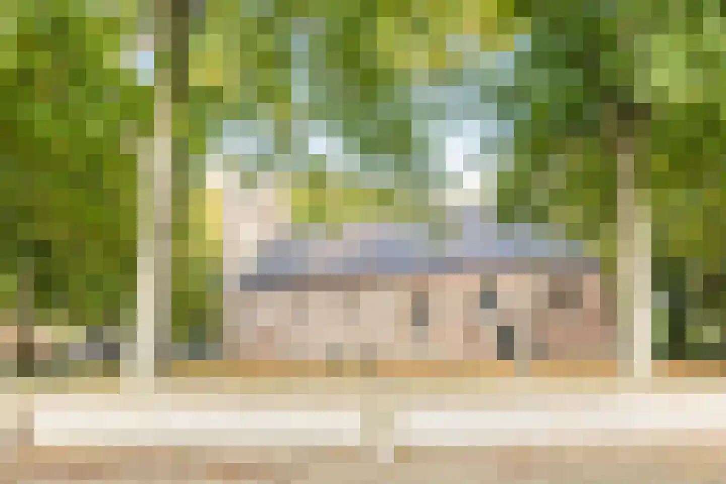 Schuinpad 40 Oldeberkoop thumbnail 56