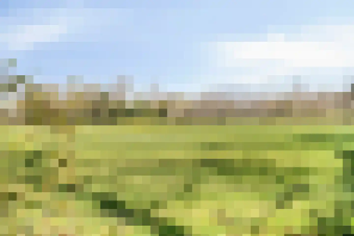Schuinpad 40 Oldeberkoop thumbnail 59