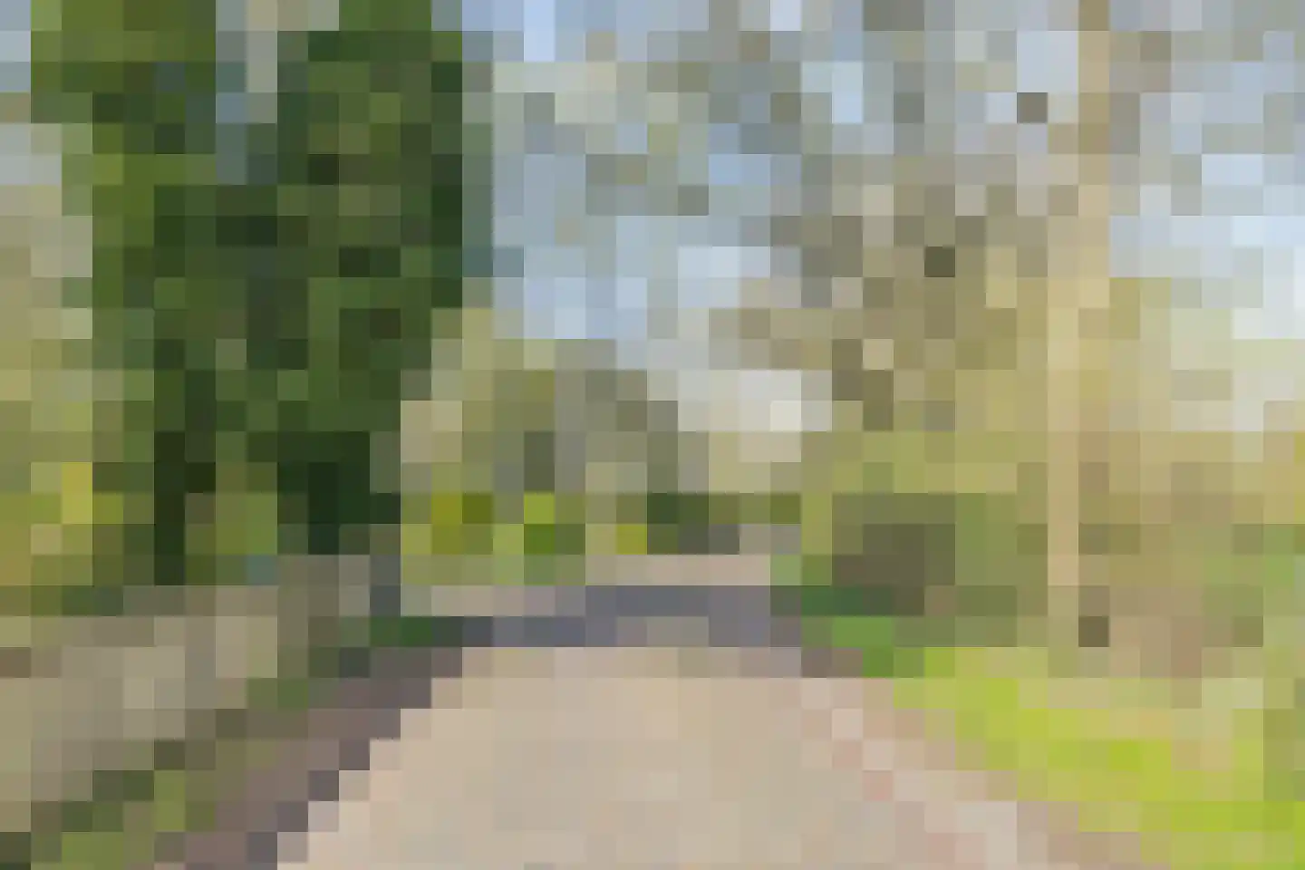 Schuinpad 40 Oldeberkoop thumbnail 61