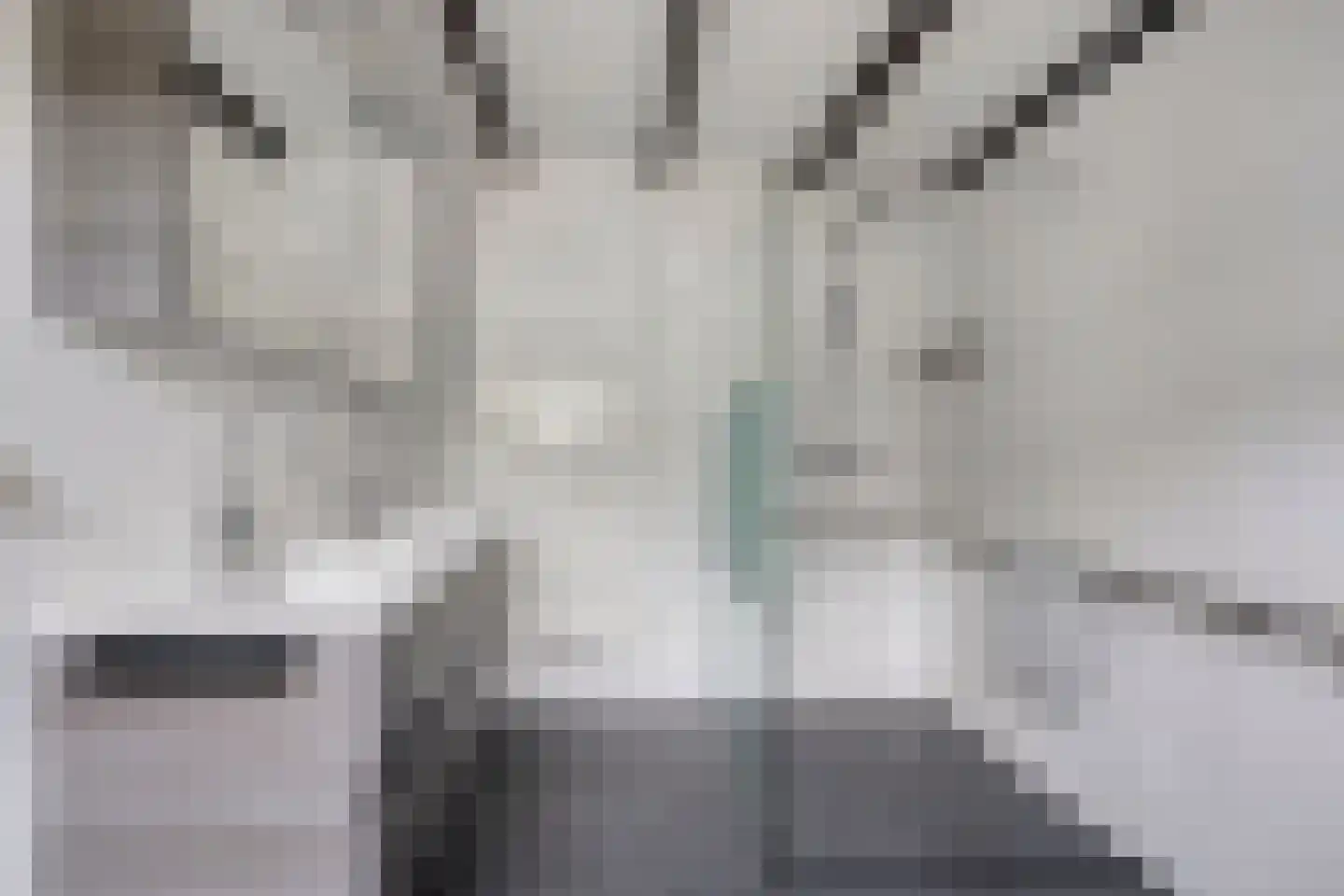 Schuinpad 5 Oldeberkoop thumbnail 16