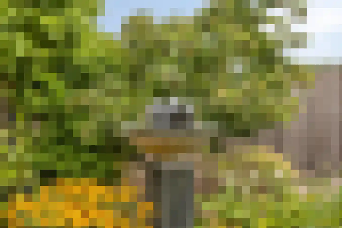 Schuinpad 5 Oldeberkoop thumbnail 29