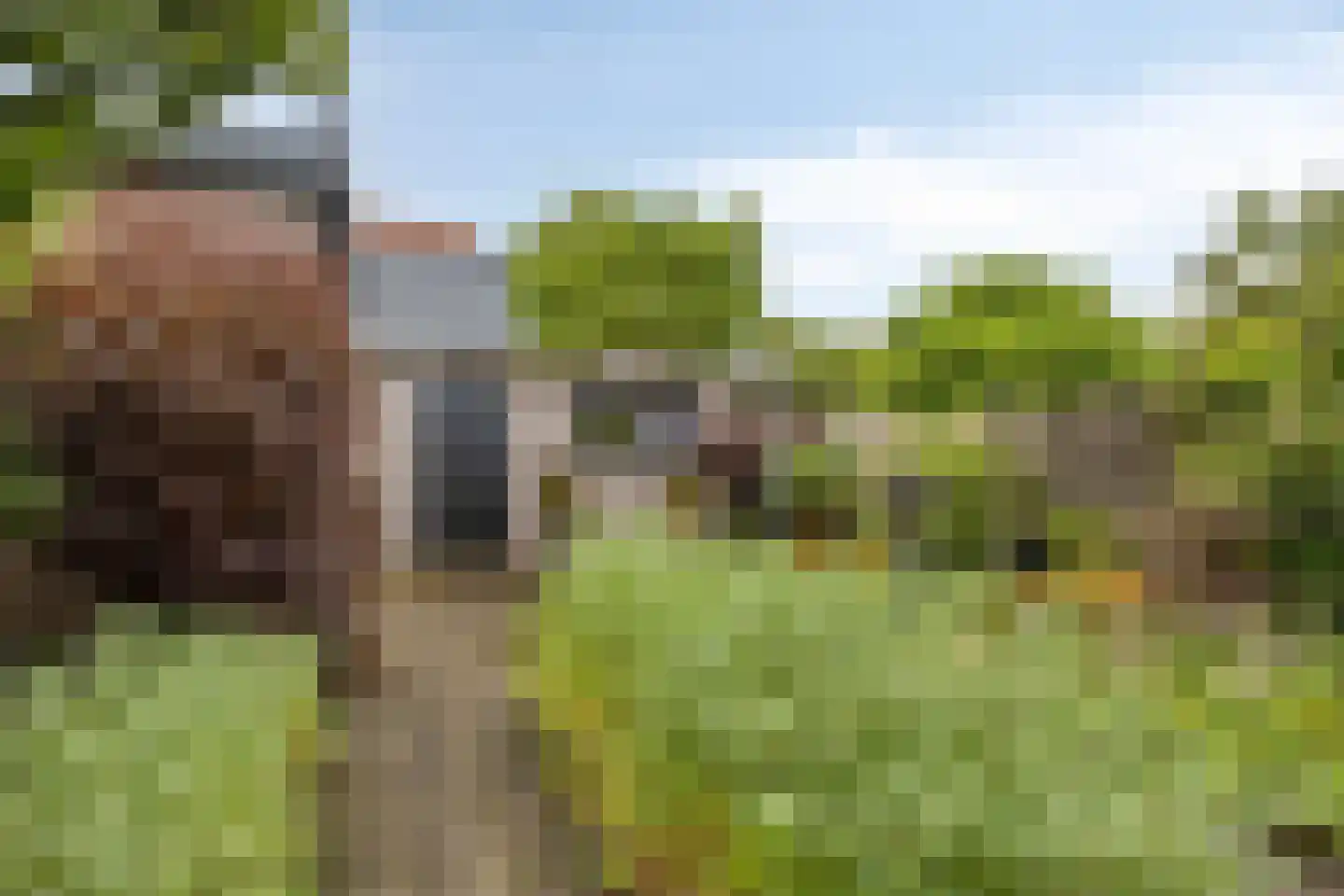 Schuinpad 5 Oldeberkoop thumbnail 30