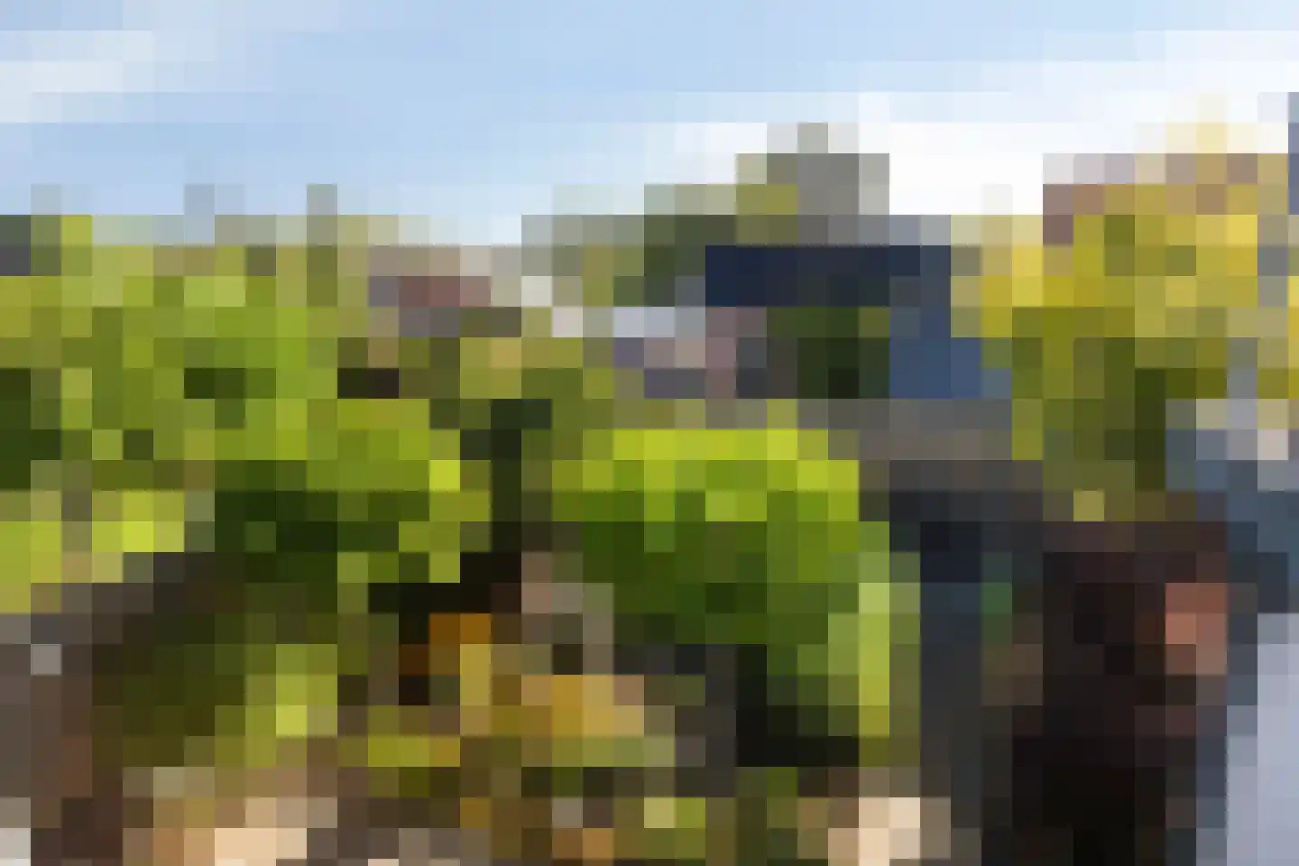 Schuinpad 5 Oldeberkoop thumbnail 32