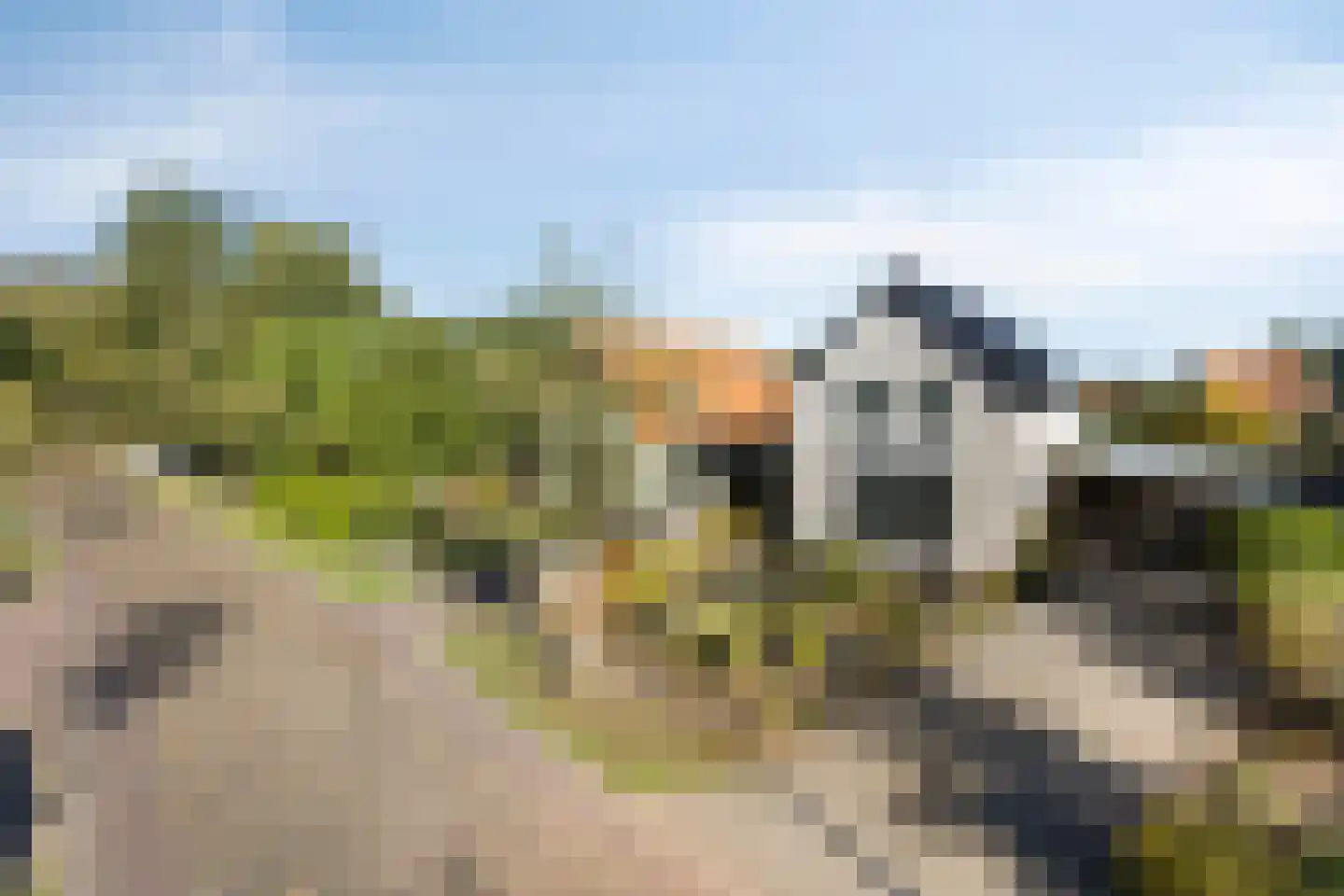 Schuinpad 5 Oldeberkoop thumbnail 33
