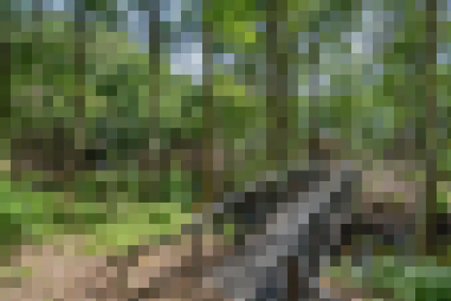 Schuinpad 5 Oldeberkoop thumbnail 37