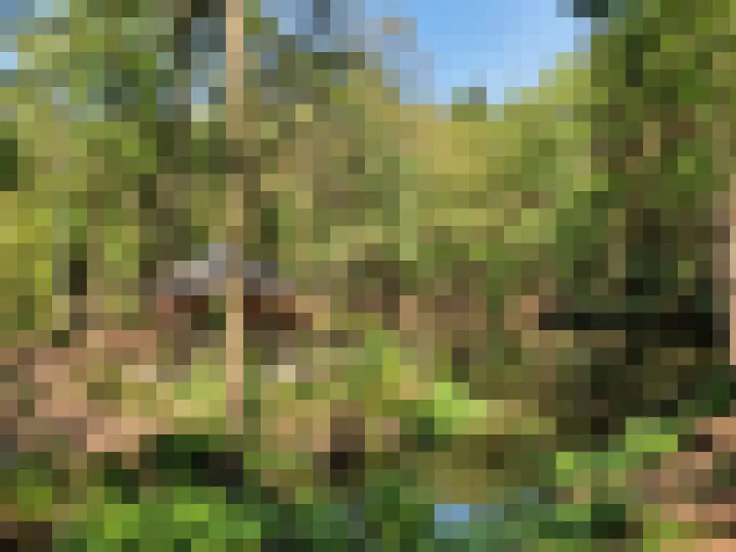 Schuinpad 5 Oldeberkoop thumbnail 38