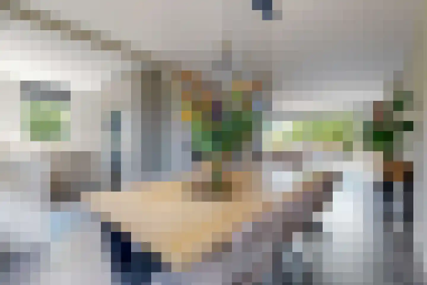 Schuit 12 Woerden thumbnail 10