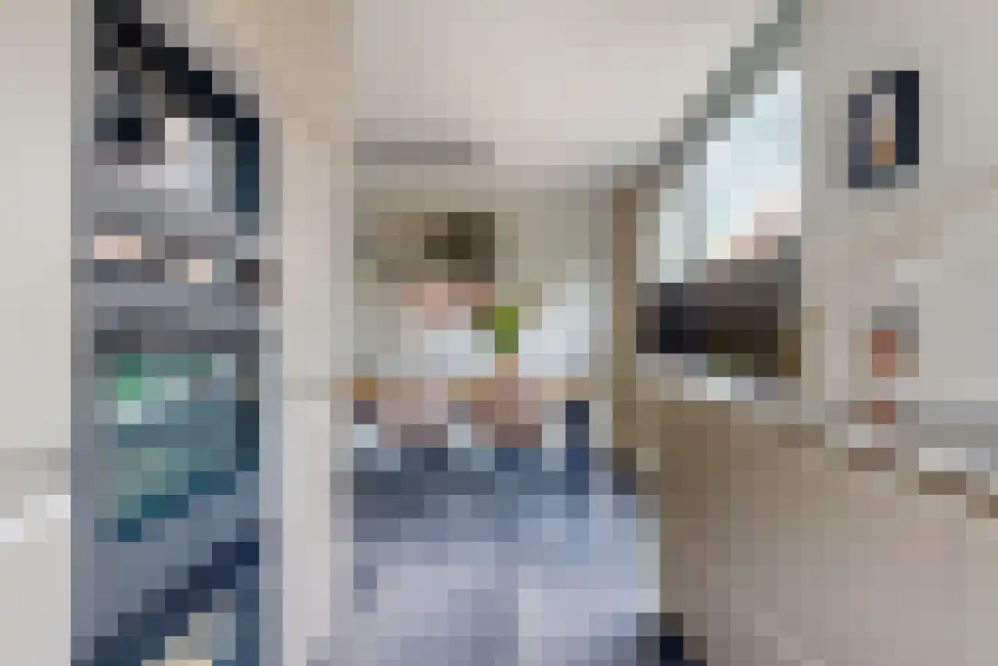 Schuit 12 Woerden thumbnail 12