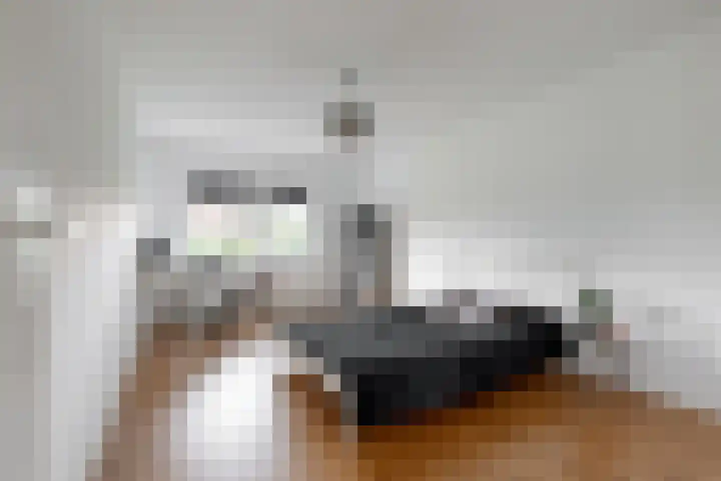 Schuit 12 Woerden thumbnail 13