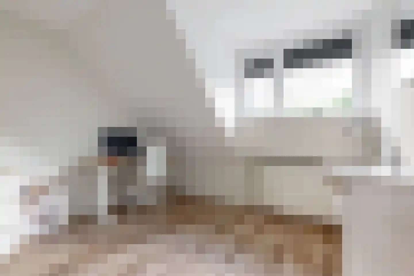 Schuit 12 Woerden thumbnail 15