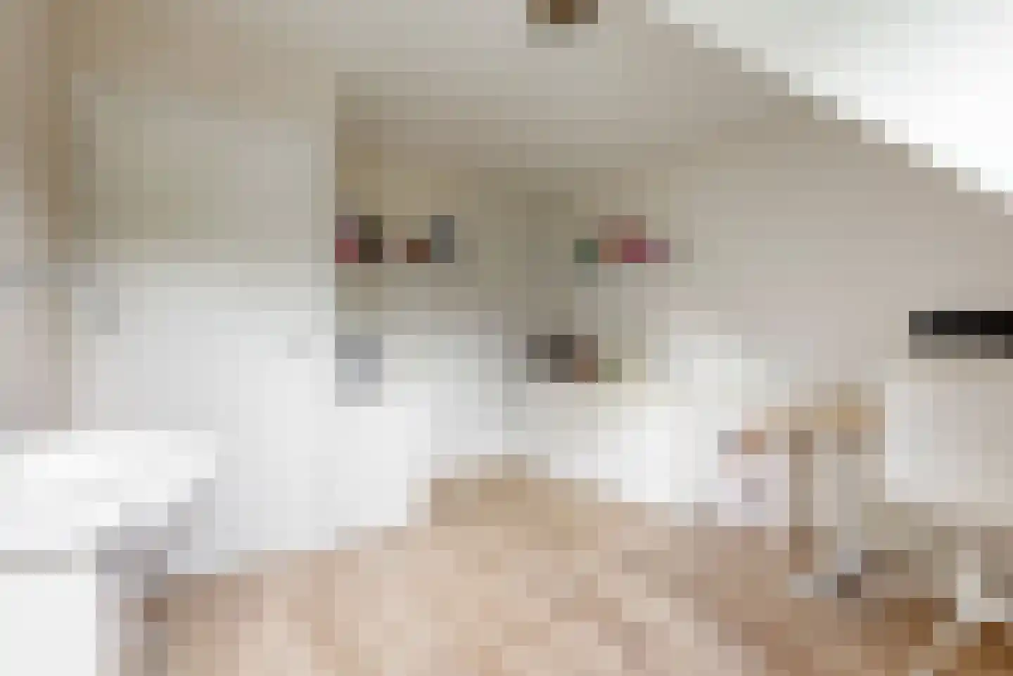 Schuit 12 Woerden thumbnail 17