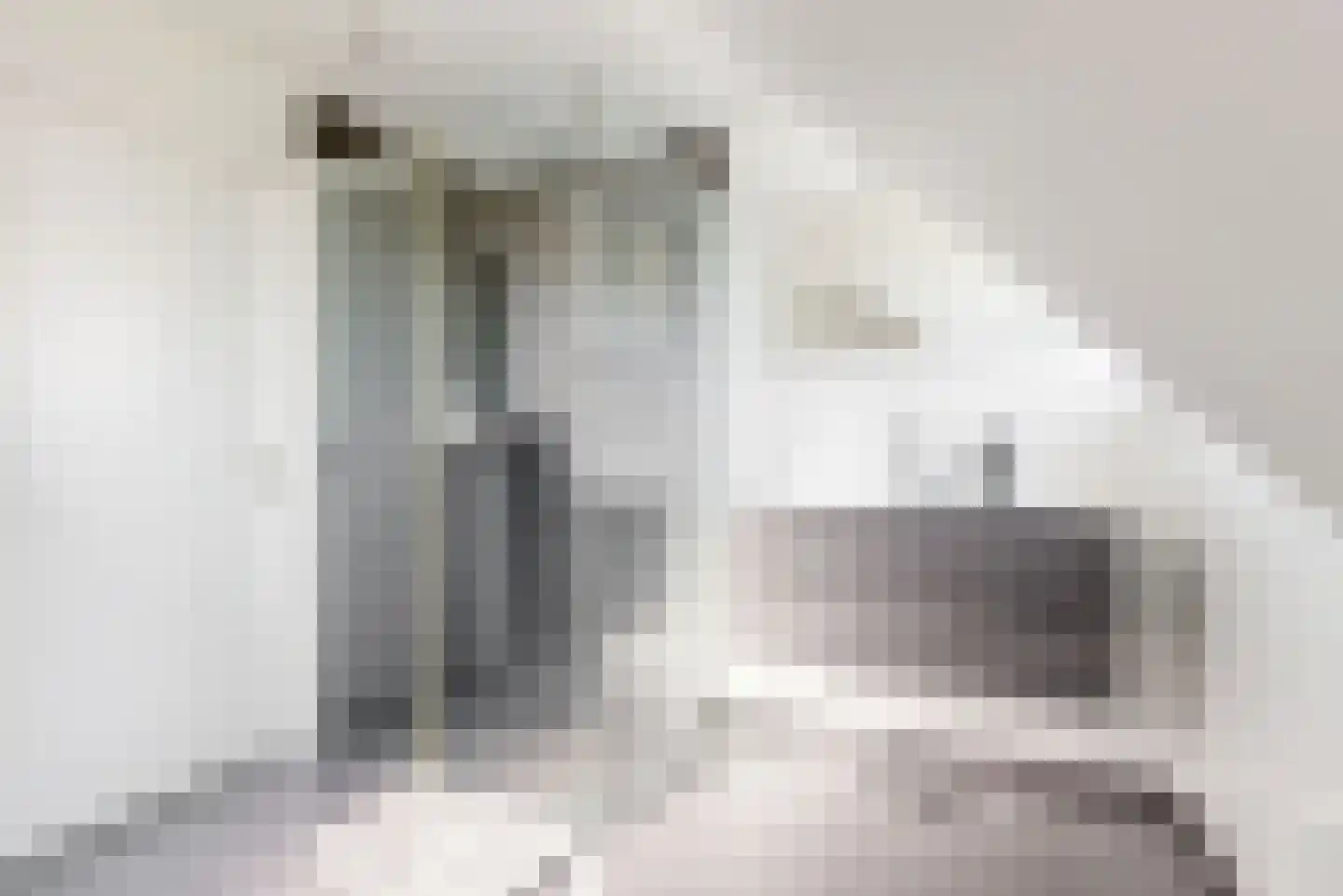 Schuit 12 Woerden thumbnail 24