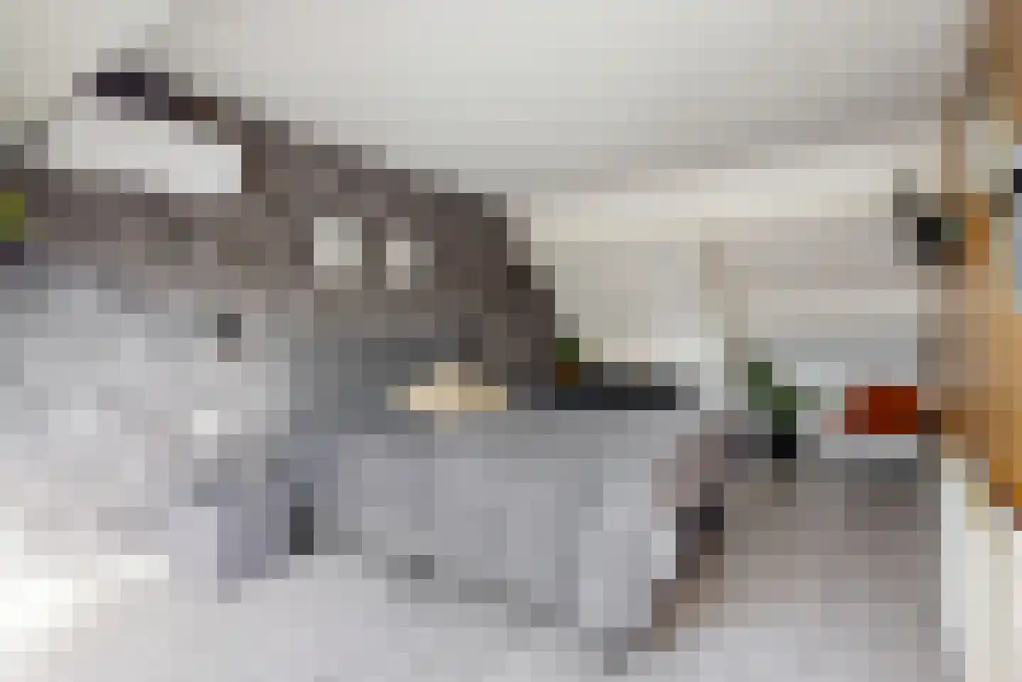 Schuit 12 Woerden thumbnail 28
