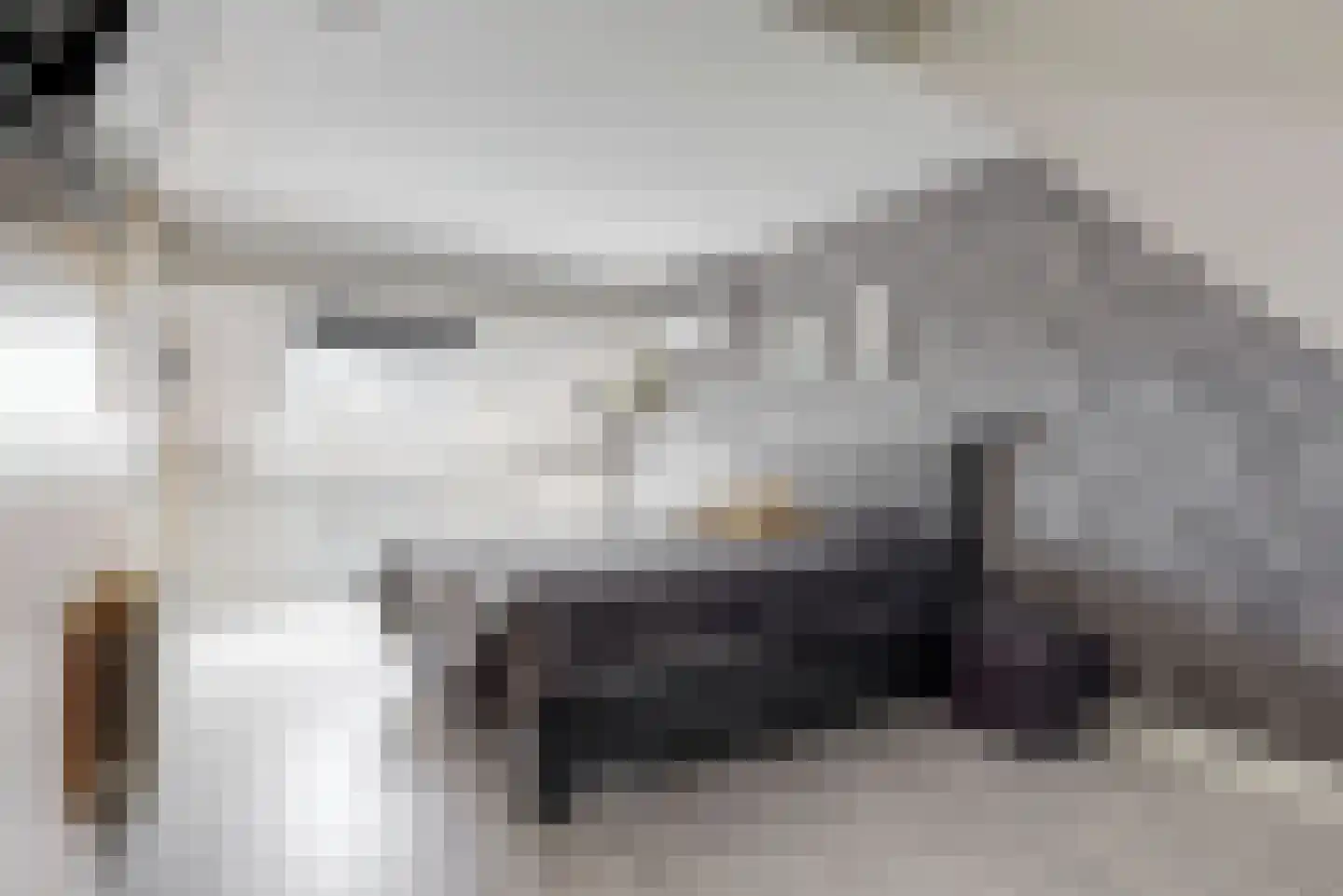 Schuit 12 Woerden thumbnail 29