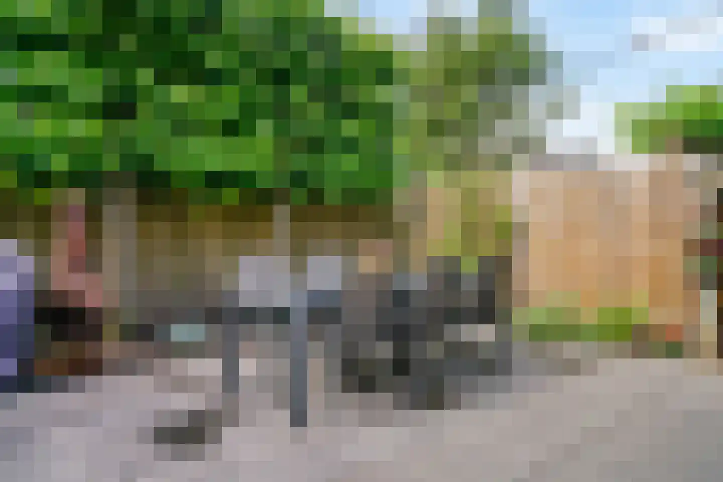 Schuit 12 Woerden thumbnail 36
