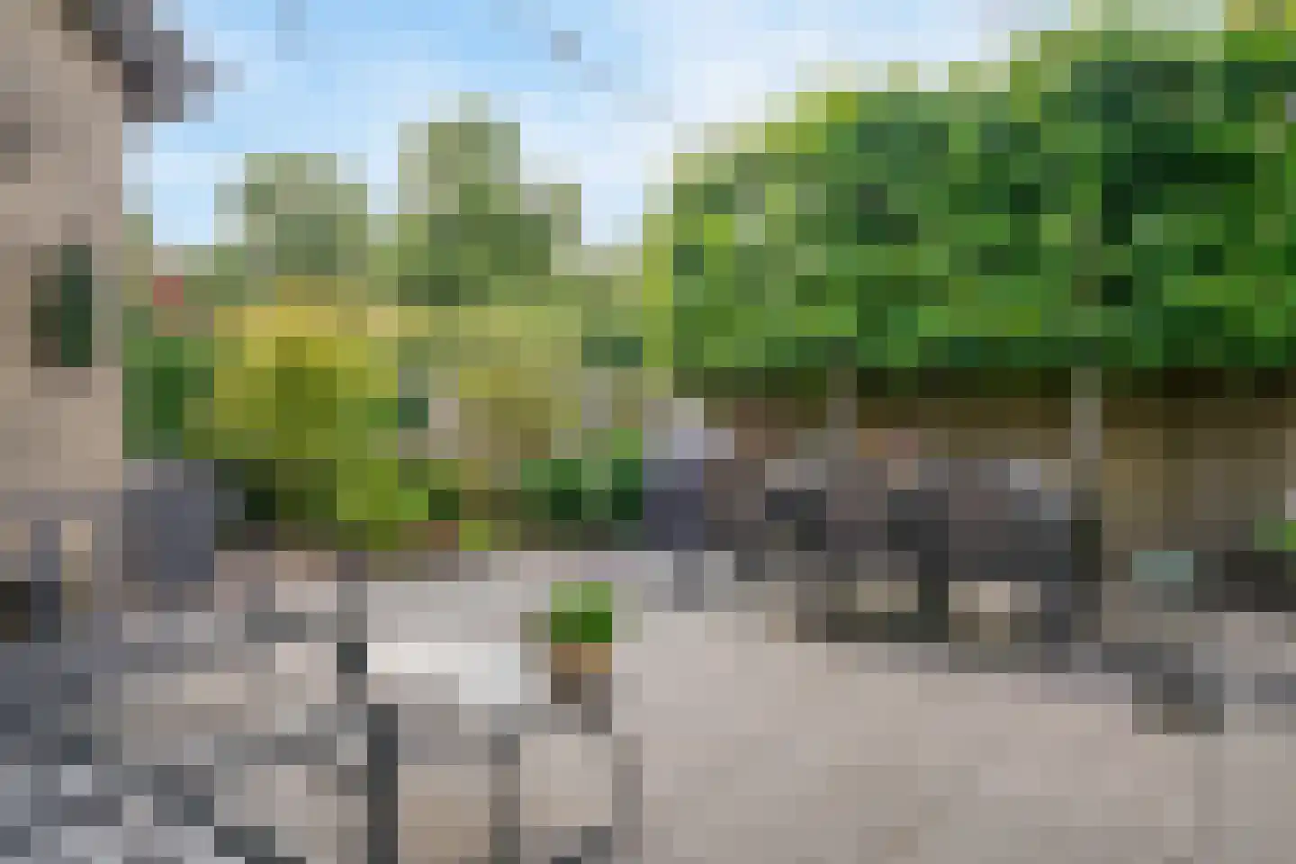Schuit 12 Woerden thumbnail 4