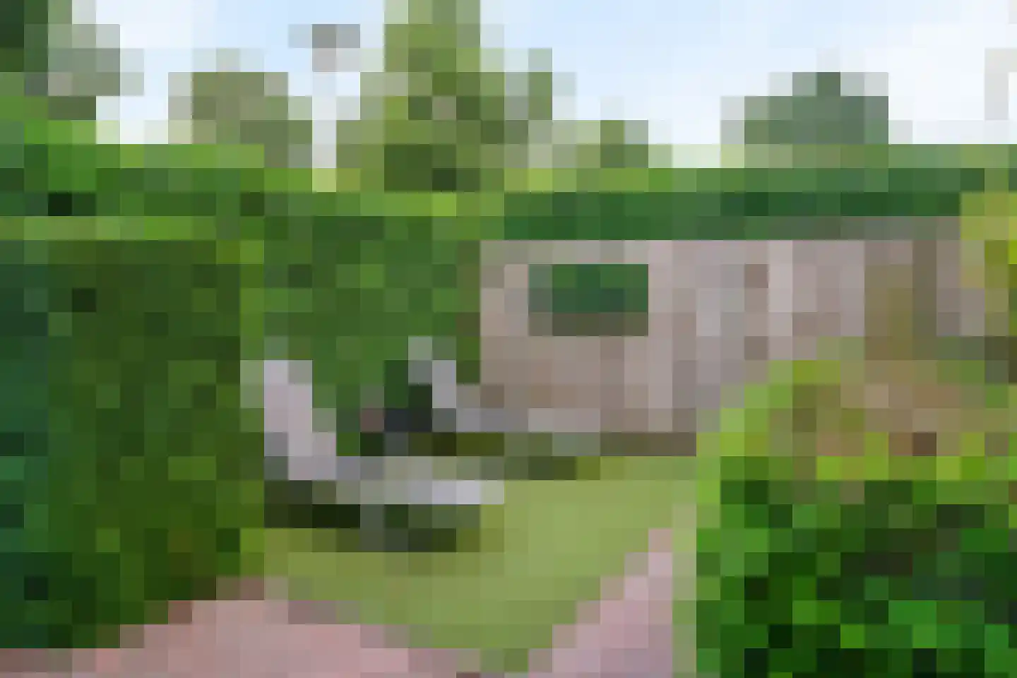 Schuit 12 Woerden thumbnail 40