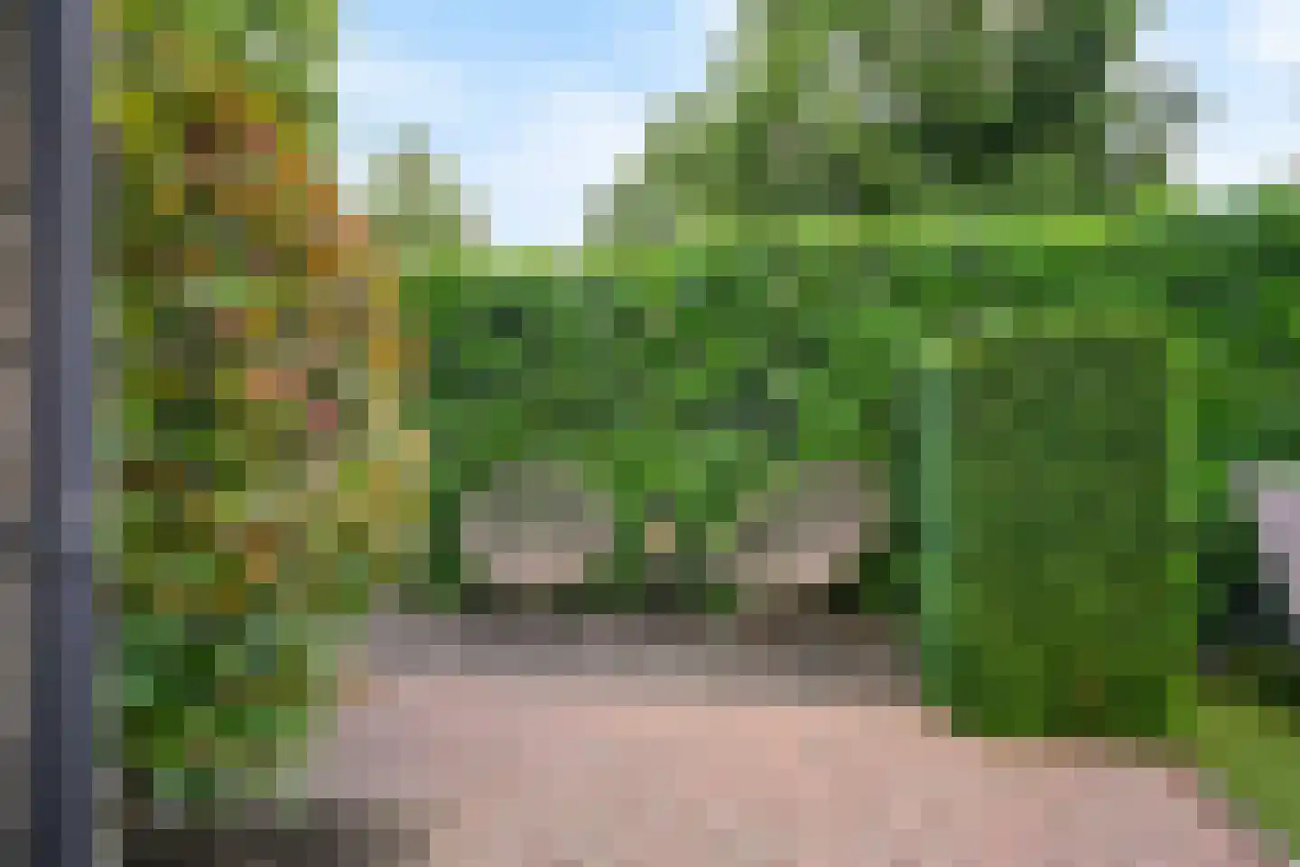 Schuit 12 Woerden thumbnail 41