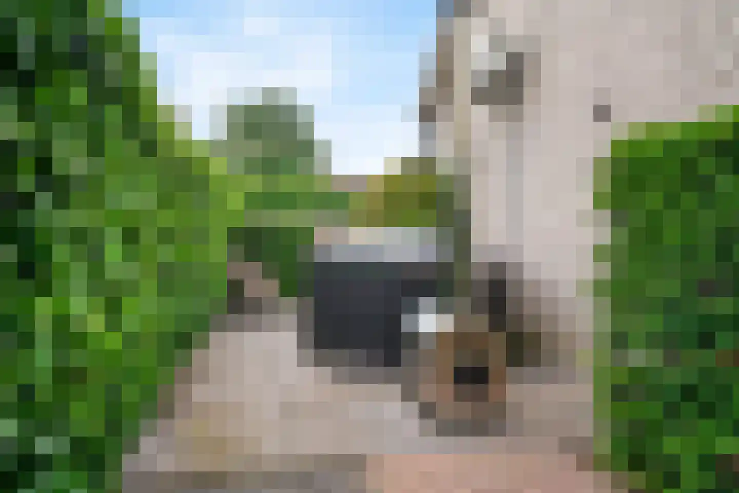 Schuit 12 Woerden thumbnail 43