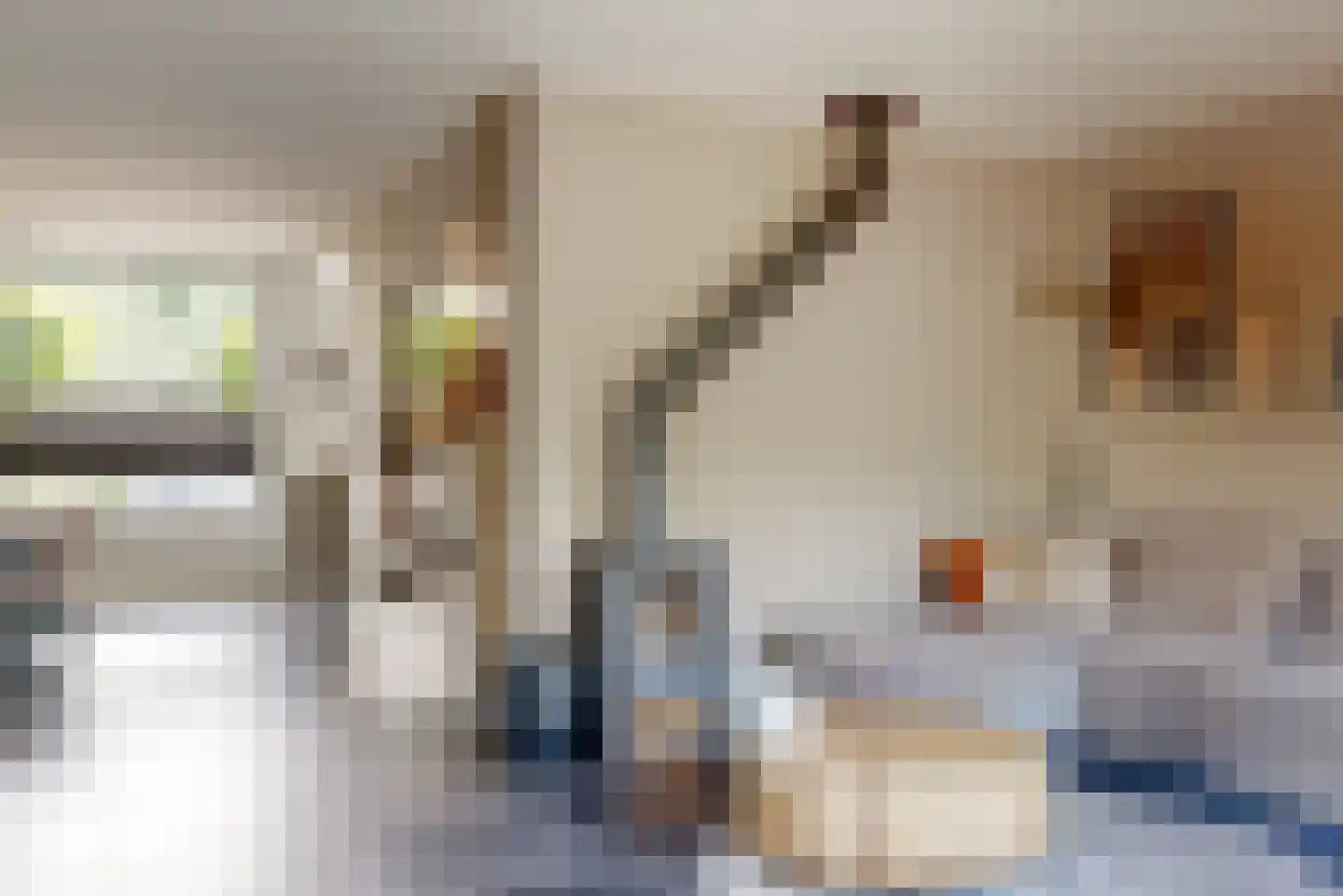 Schuit 12 Woerden thumbnail 8