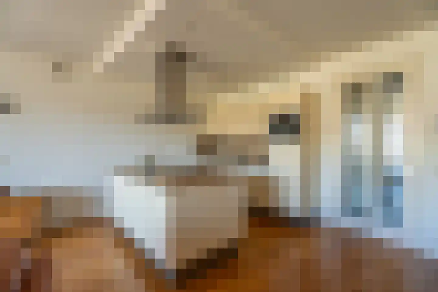 Schuitegatstraat 58 Katwijk thumbnail 6
