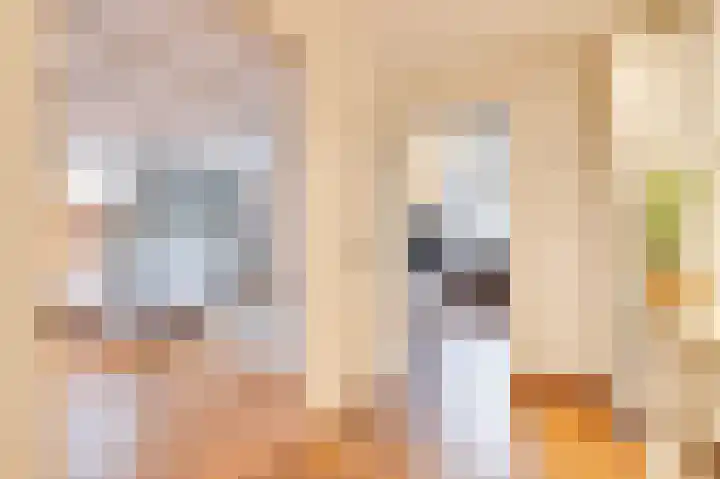 Schuitemaker 7 Oudkarspel thumbnail 11