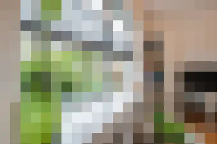 Schuitemaker 7 Oudkarspel thumbnail 17
