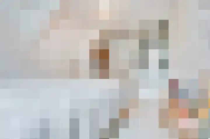 Schuitemaker 7 Oudkarspel thumbnail 31