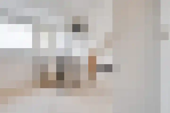 Schuitemaker 7 Oudkarspel thumbnail 33
