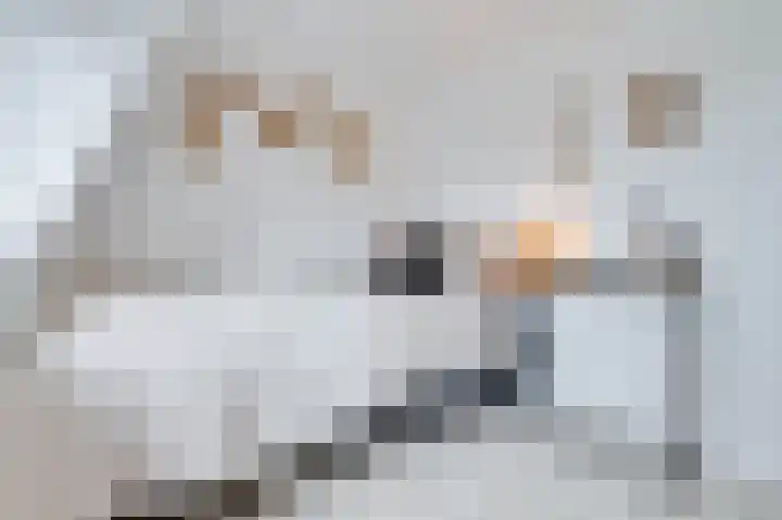 Schuitemaker 7 Oudkarspel thumbnail 35