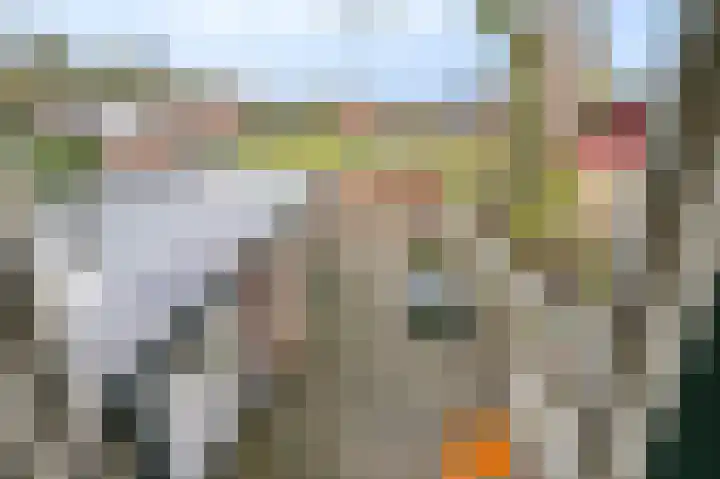Schuitemaker 7 Oudkarspel thumbnail 38