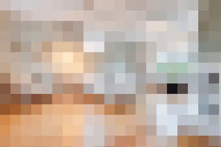 Schuitemaker 7 Oudkarspel thumbnail 4