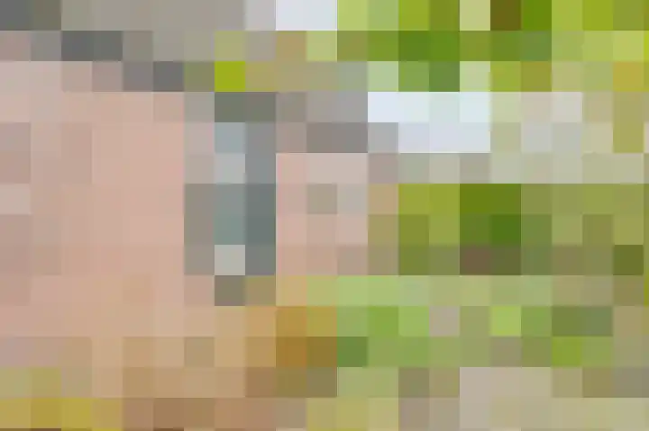 Schuitemaker 7 Oudkarspel thumbnail 42