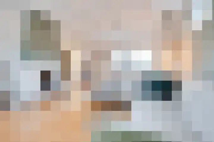 Schuitemaker 7 Oudkarspel thumbnail 5