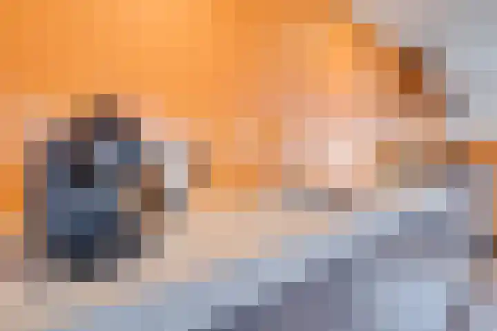 Schuitemaker 7 Oudkarspel thumbnail 9