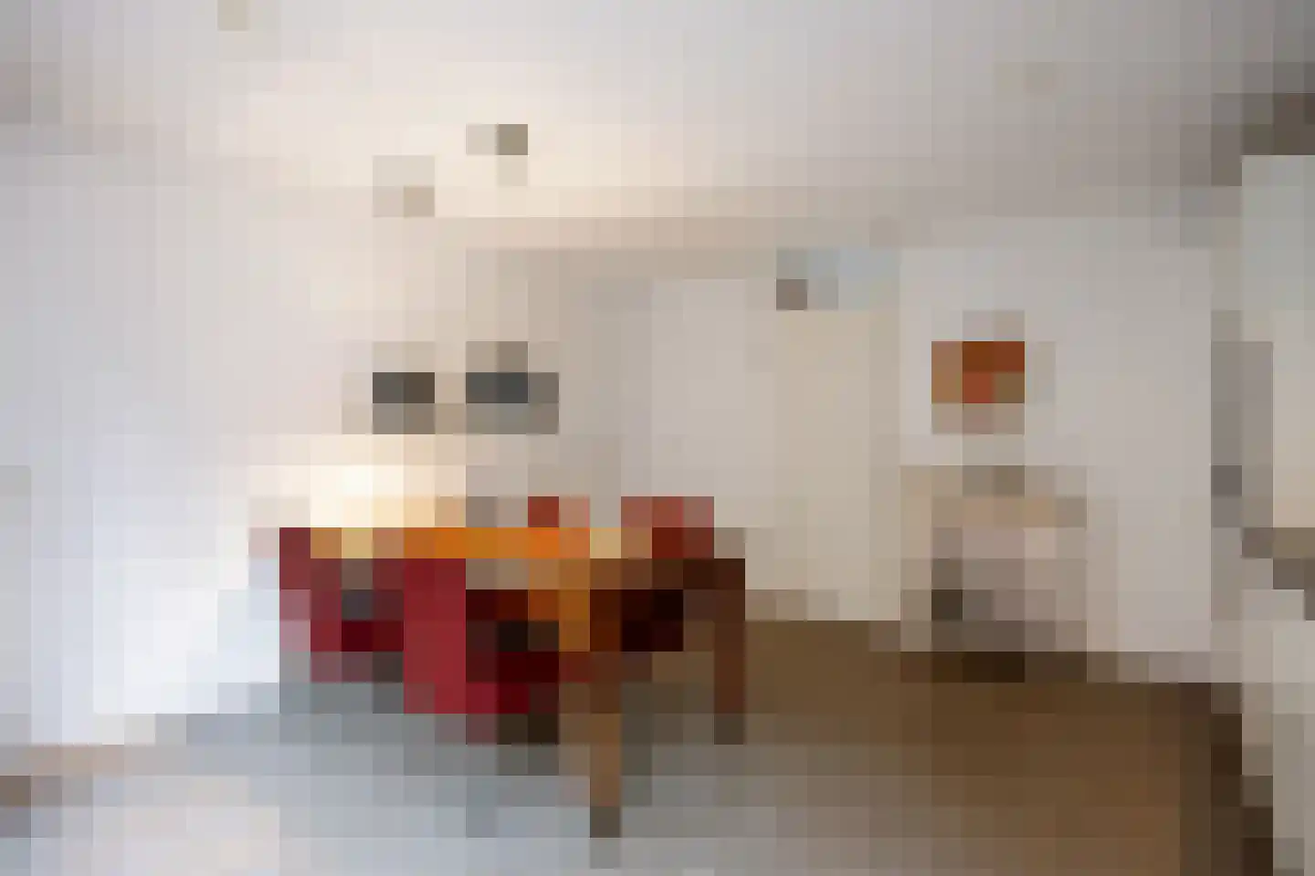 Schuitemakersstraat 12 Groningen thumbnail 10