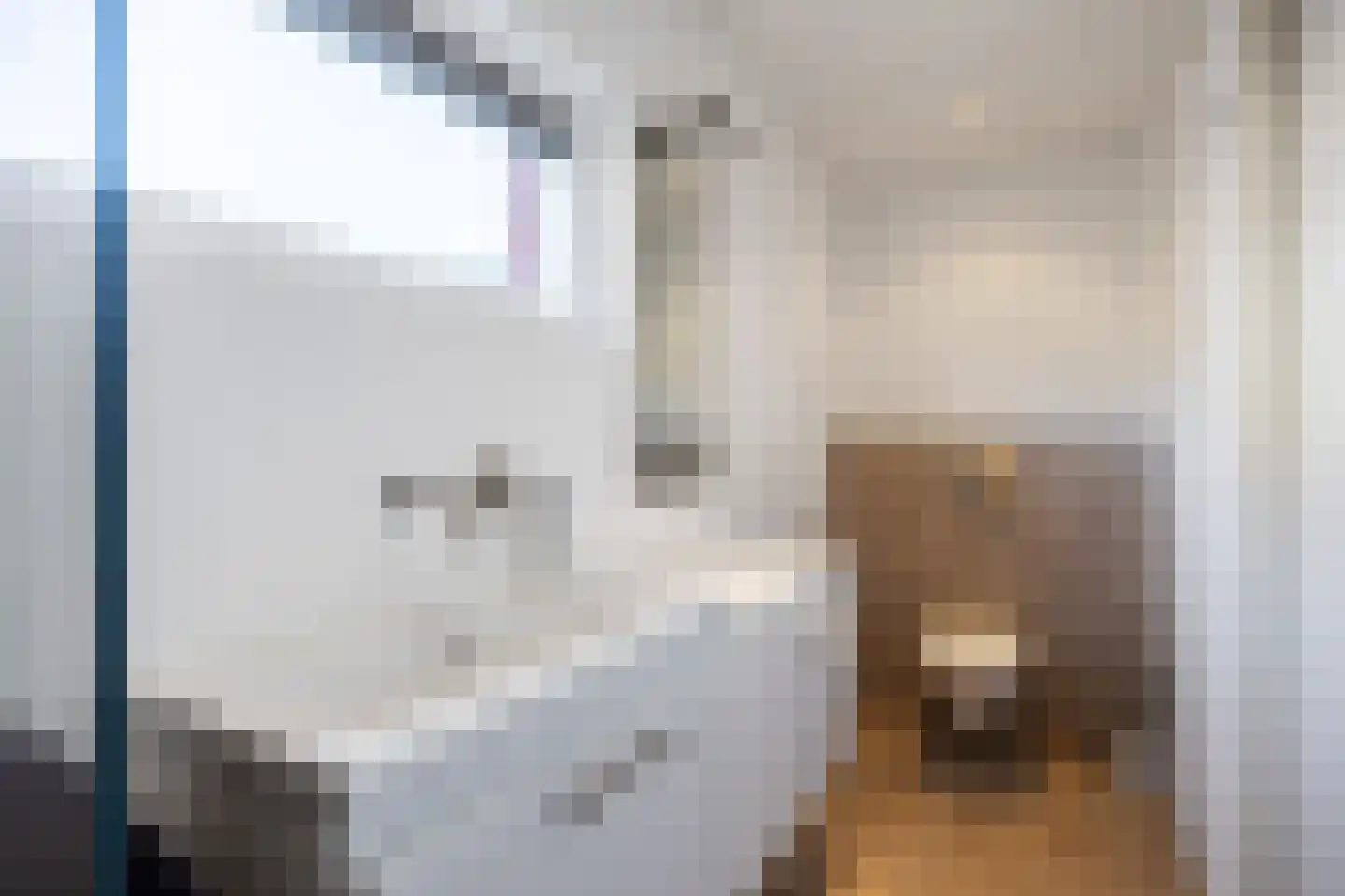 Schuitemakersstraat 12 Groningen thumbnail 27