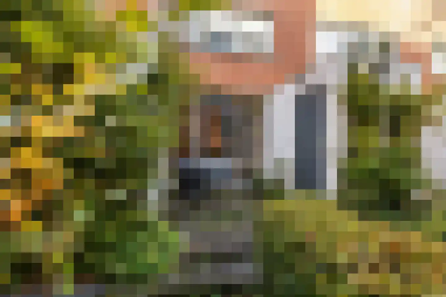 Schuitemakersstraat 12 Groningen thumbnail 41