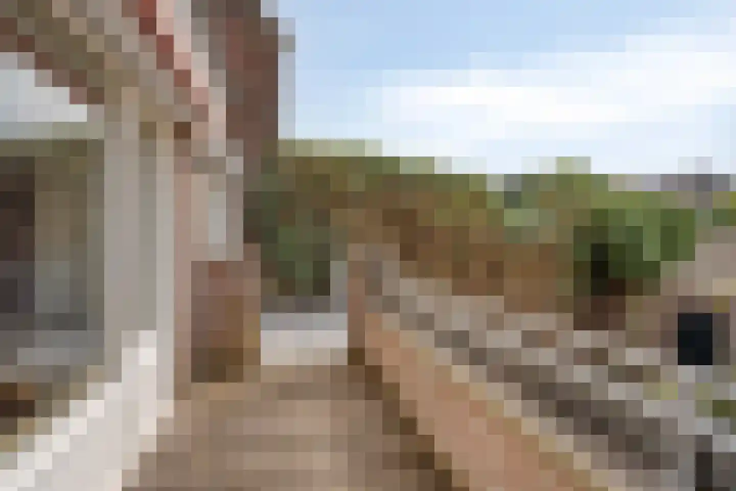 Schuitenberg 12 L Roermond thumbnail 33