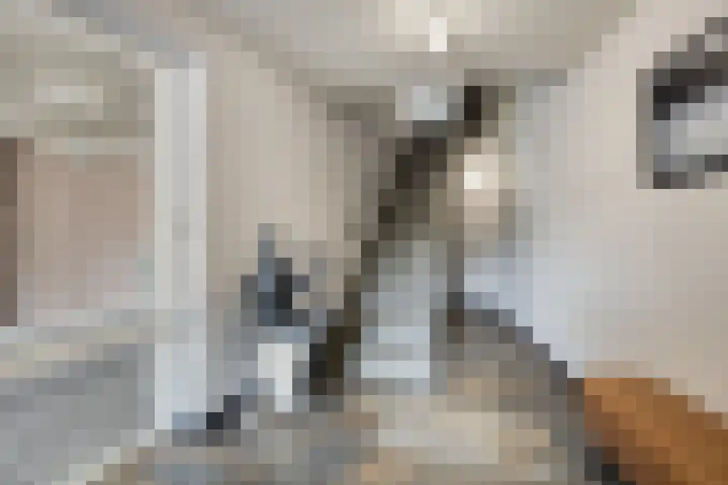 Schuitenberg 12 L Roermond thumbnail 8