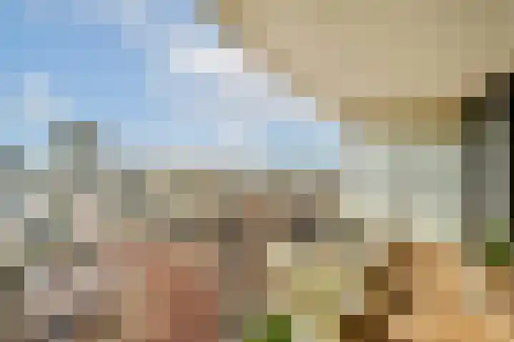 Schuitengat 69 Zandvoort thumbnail 38
