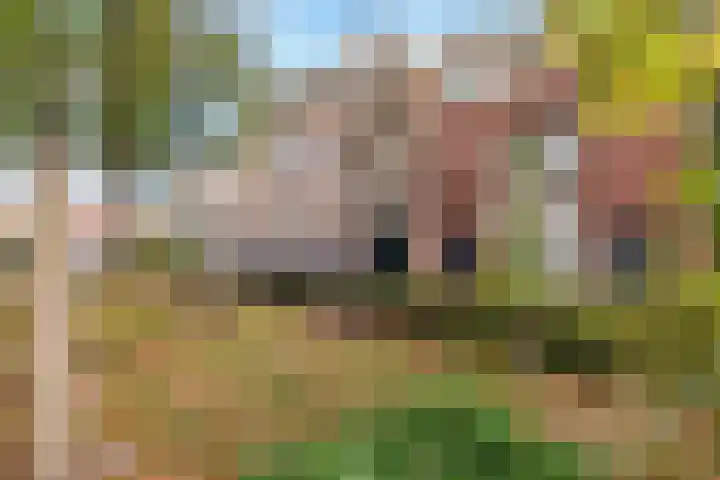 Schuitenmakersstraat 16 in Dordrecht