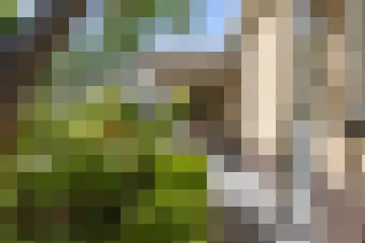 Schuitenzand 16 Harlingen thumbnail 53