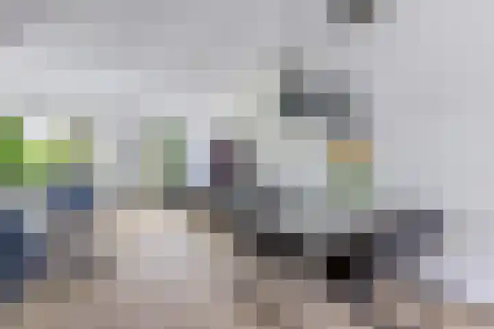 Schuitmakerswal 4 Drachten thumbnail 14