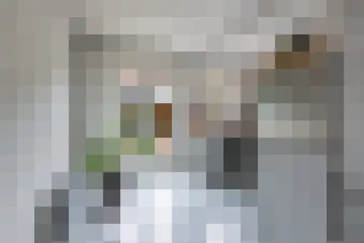 Schuitmakerswal 4 Drachten thumbnail 18