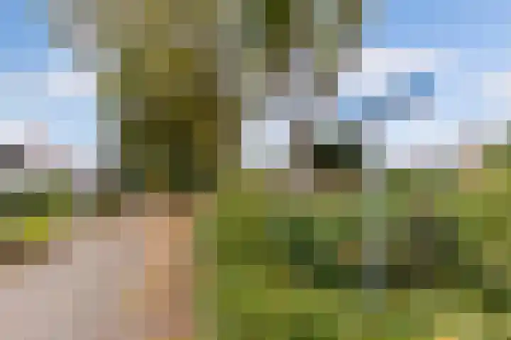 Schuitmakerswal 4 Drachten thumbnail 43