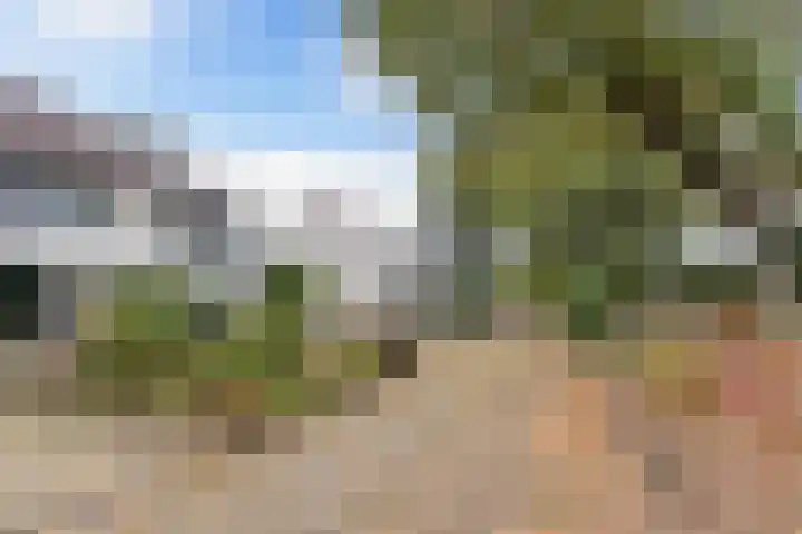 Schuitmakerswal 4 Drachten thumbnail 5